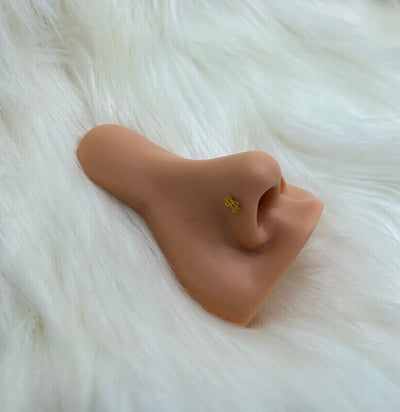 Money nose ring