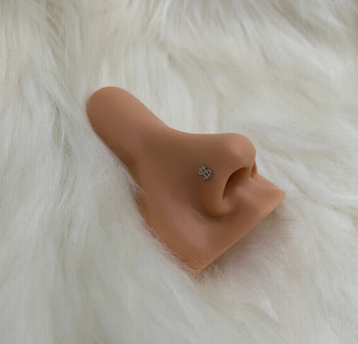 Money nose ring